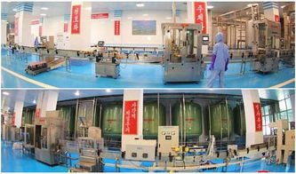 海鲜酱包装新趋势 星火食品包装机械以创新驱动行业发展