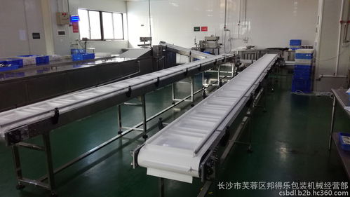 食品厂专用包装输送线定制解决方案 从红烧排骨汤料到各类产品的全流程输送