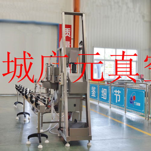 榨菜全自动真空整平机——诸城广元包装机械厂的专业制造